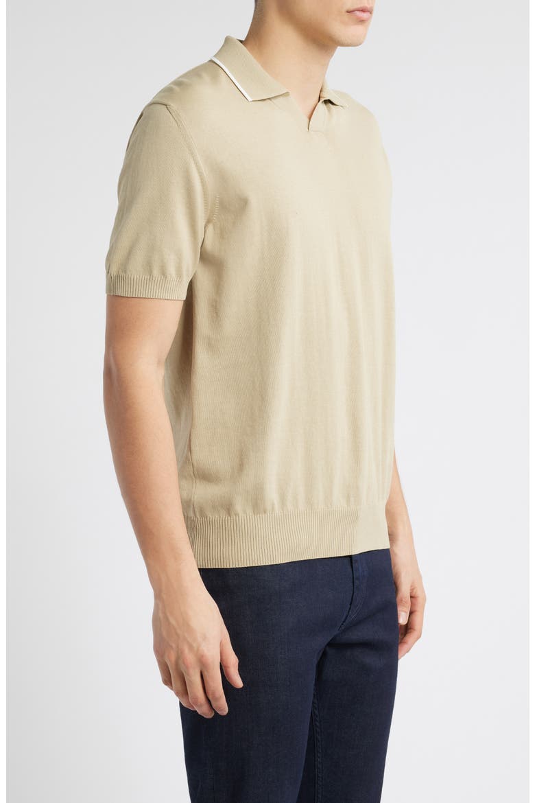 Regular Fit Johnny Collar Polo, Alternate, color, BEIGE