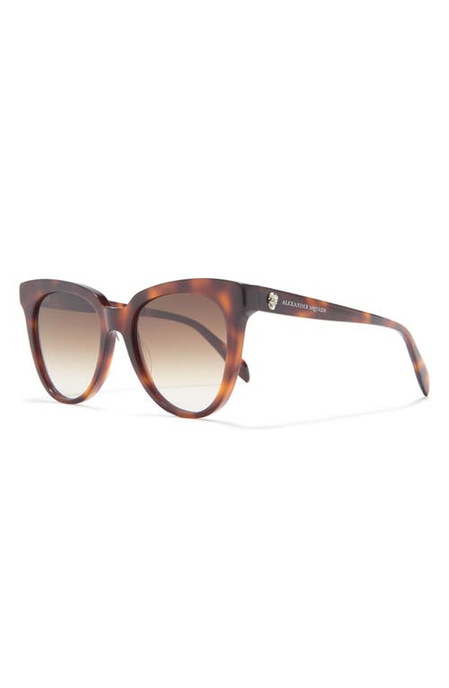 Alexander Mcqueen 53mm Cat Eye Sunglasses In Havana Havana Brown/gbn