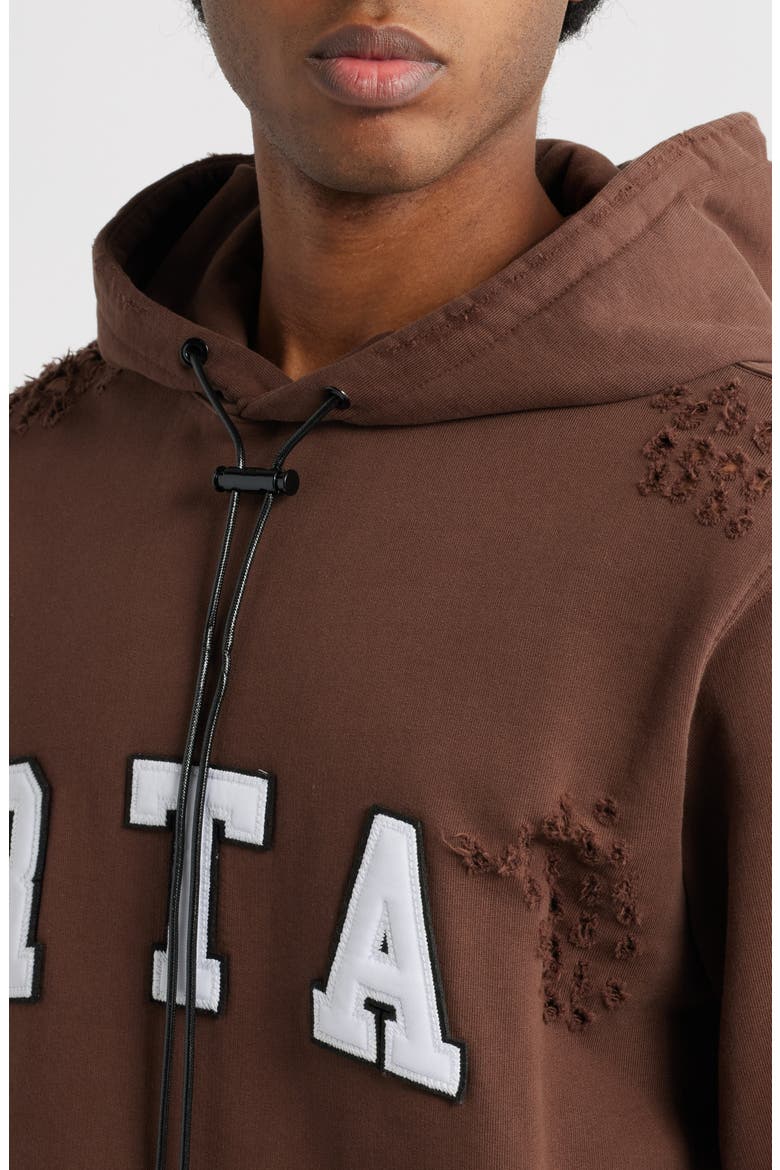 Markus Collegiate Frayed Hoodie, Alternate, color, BROWN COLLEGIATE