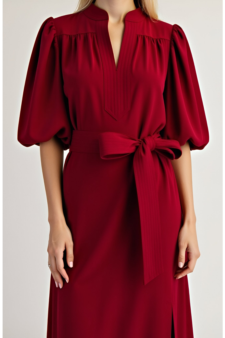 Short Sleeve Mini Dress with Belted Waist and Utility Pockets, Alternate, color, Dark Red