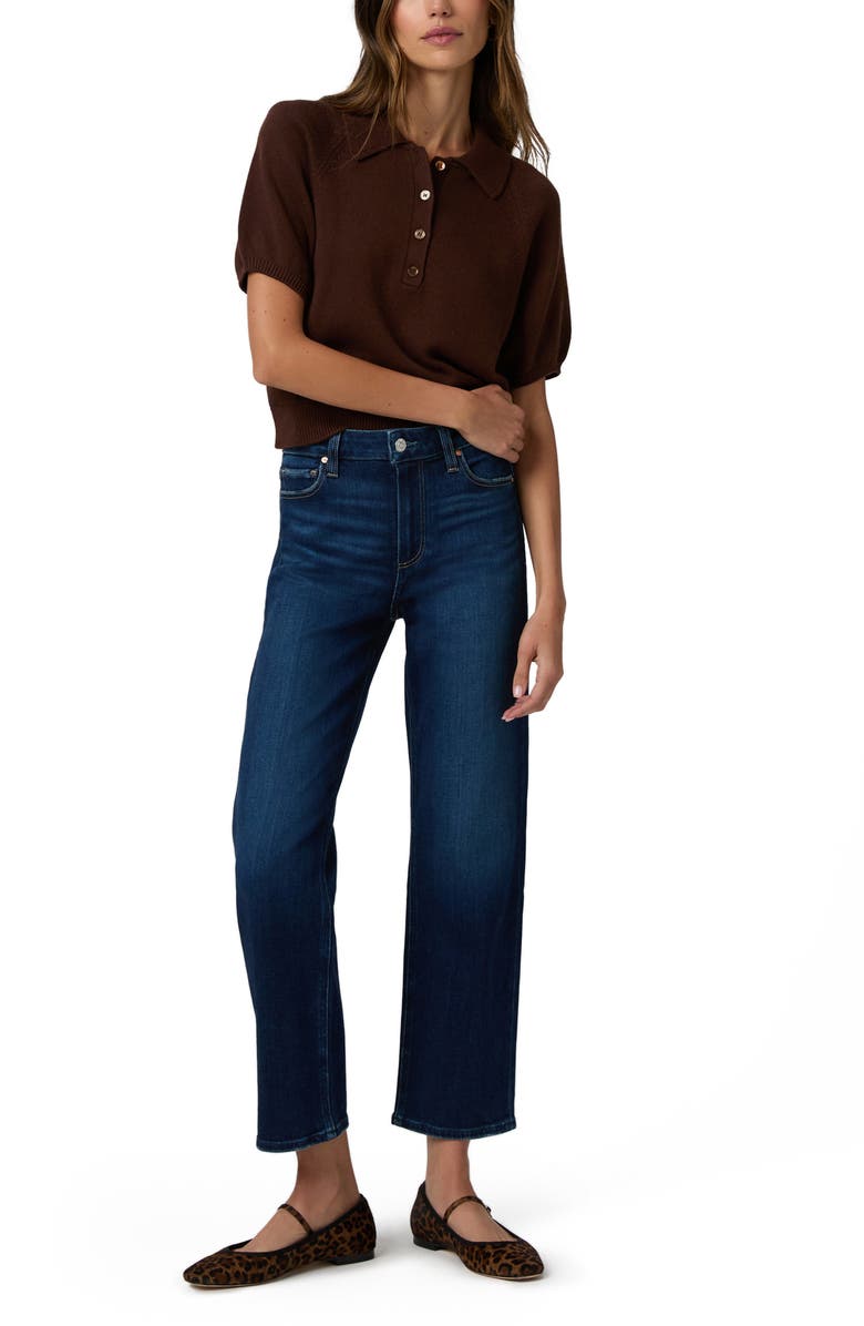 PAIGE Birch Puff Sleeve Cotton Blend Sweater, Alternate, color, Tamarind