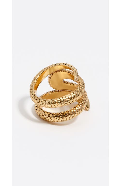 Bimba Y Lola Textured Snake Spiral Ring In Gold