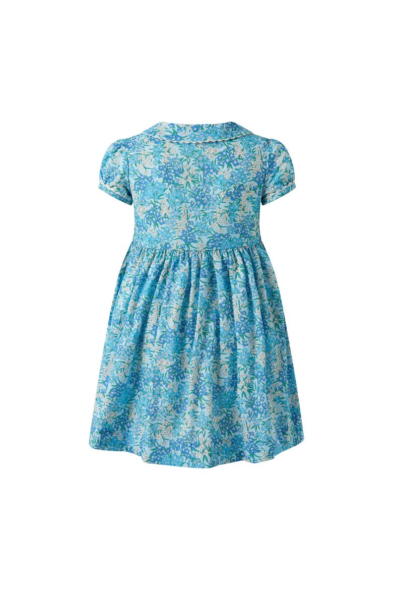 Floral Button-Front Dress, Alternate, color, Blue