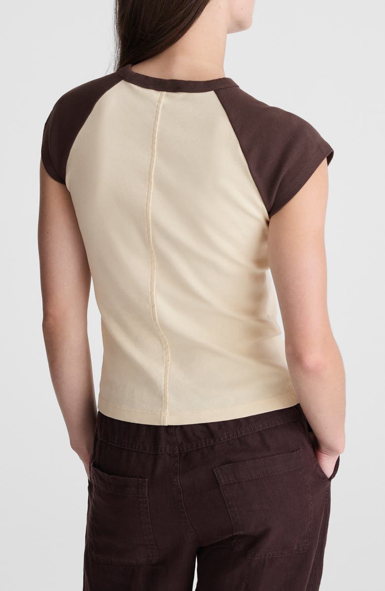 Madewell '90s Crewneck Raglan T-Shirt, Alternate, color, Colorblock