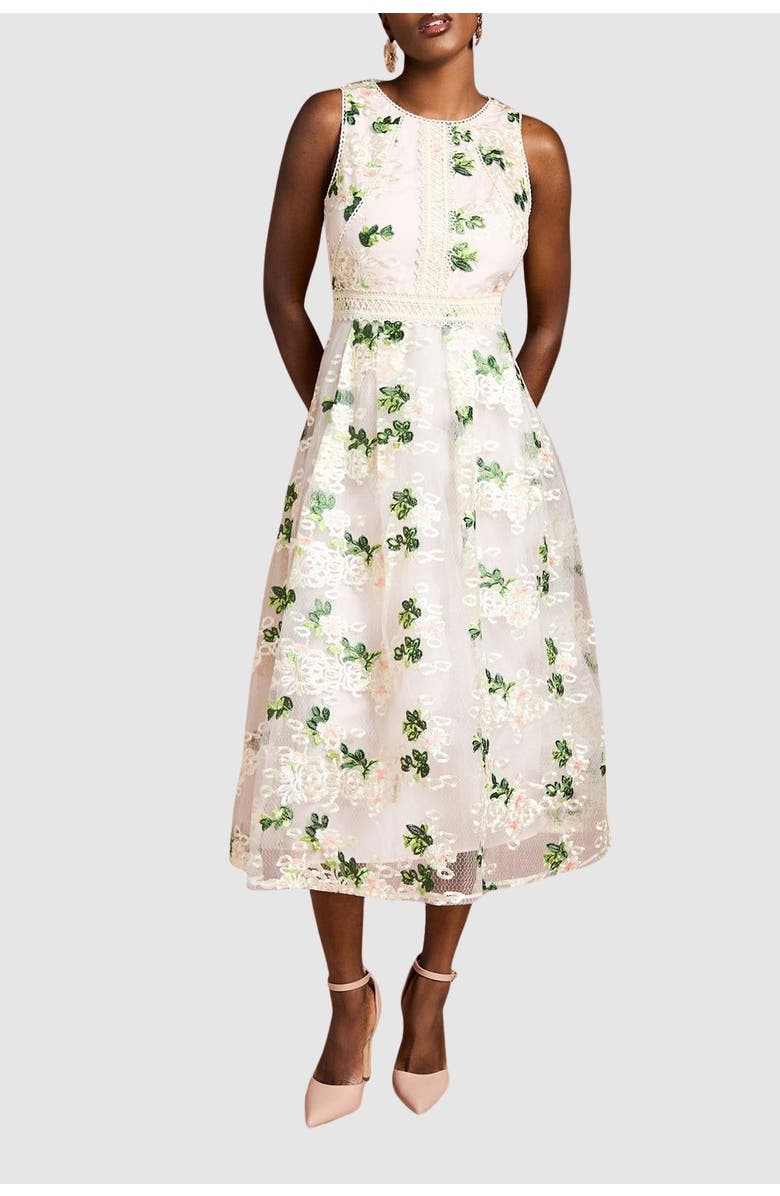 Coast Embroidered Mesh Lace Skirted Midi Dress, Alternate, color, Blush