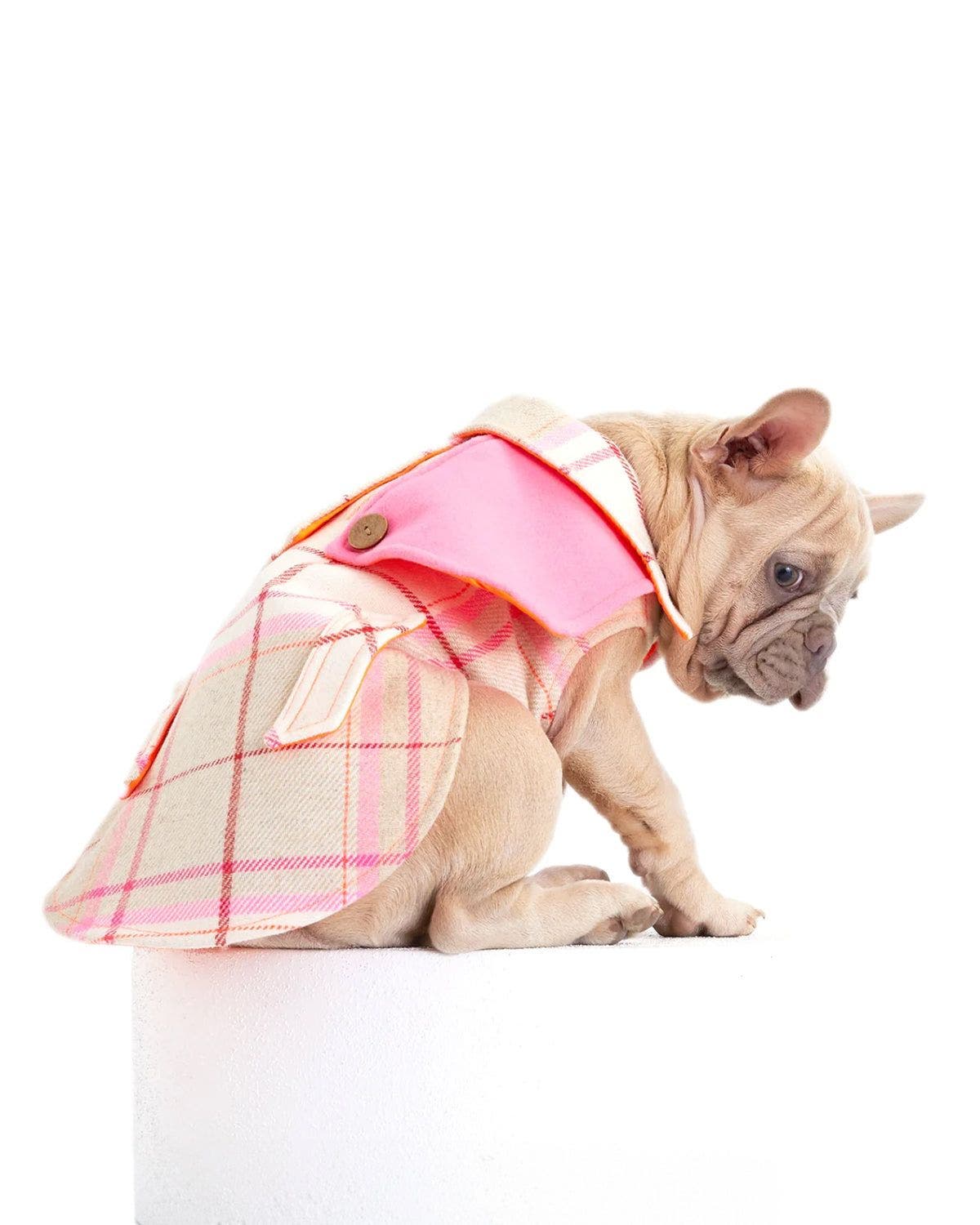 Moshiqa Tartan Dog Harness in Beige at Nordstrom, Size Medium