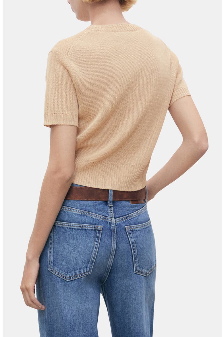Short Sleeve Crop Sweater, Alternate, color, LIGHT/ PASTEL GREY