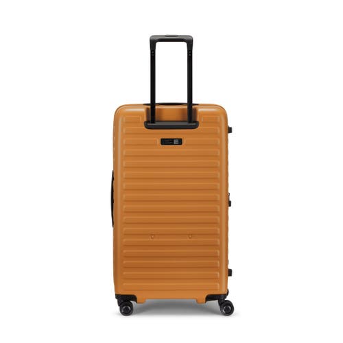 Lojel Cubo Fit Check