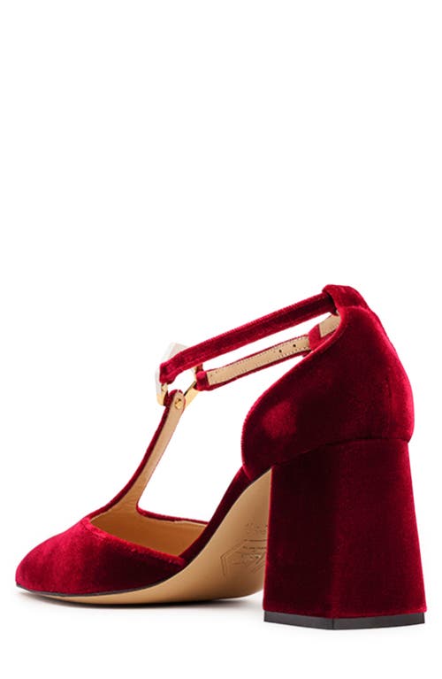 Nalebe Doxa Ankle Strap Pointed Toe Pump In Maroon