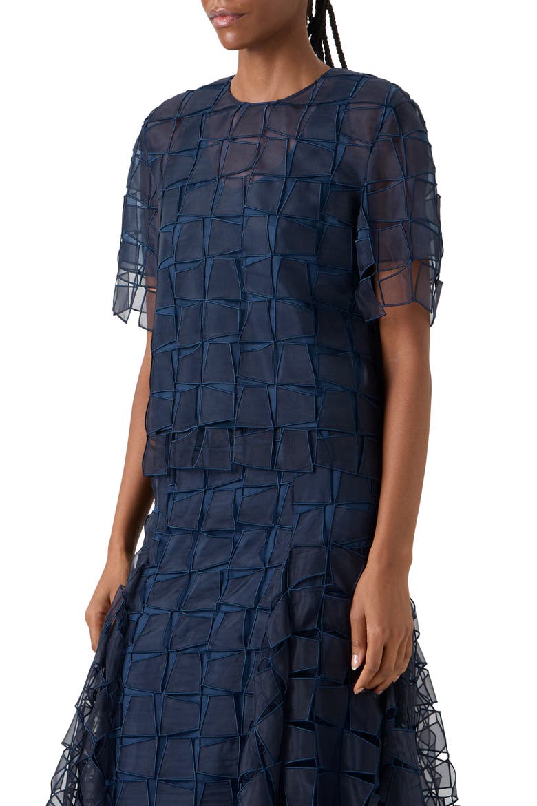 Embroidered Trapezoid Organza Top, Alternate, color, NAVY