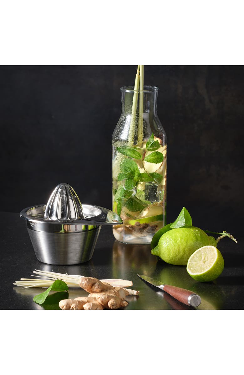 Rosle Stainless Steel Manual Citrus Reamer and Hand Juicer, Alternate, color, 