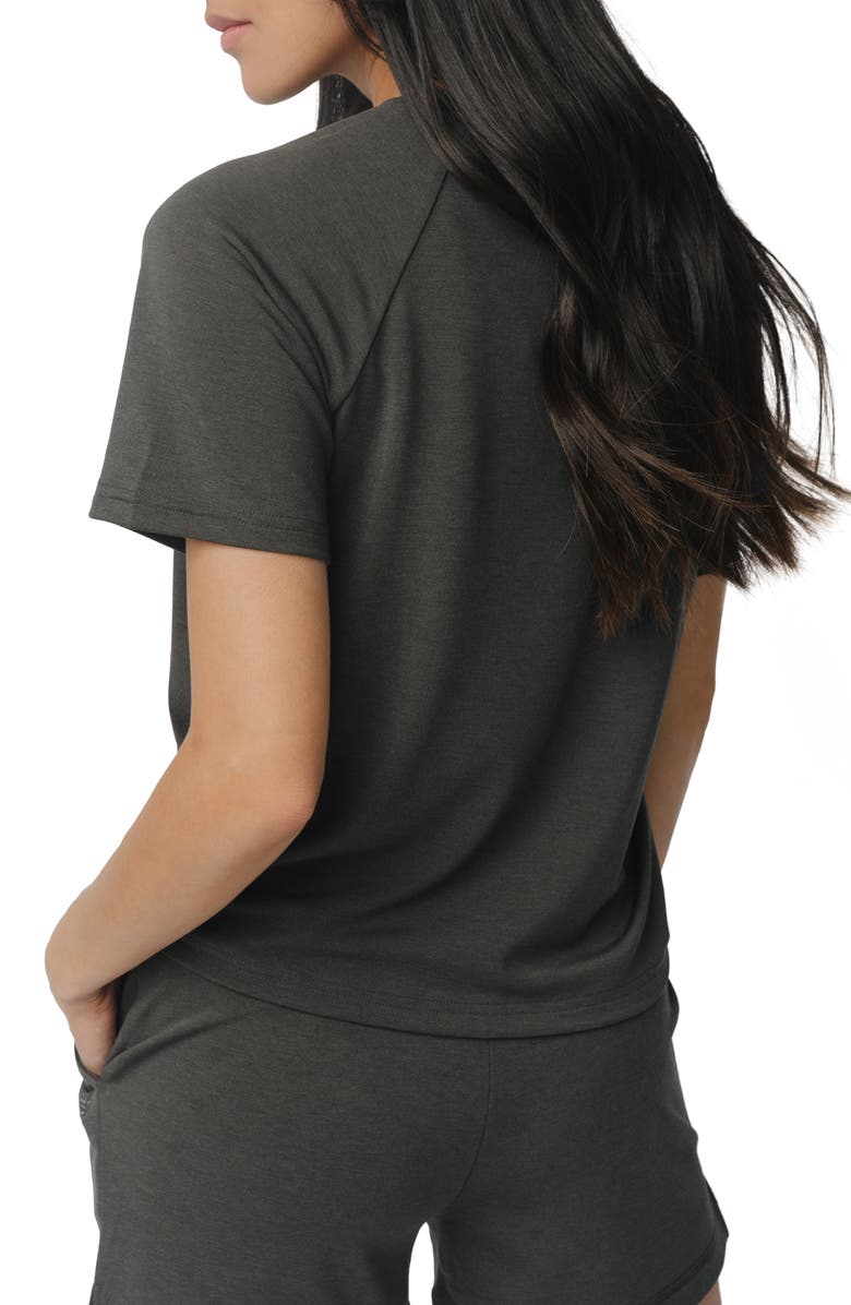 Cozy Earth Ultrasoft Raglan T-Shirt, Alternate, color, Charcoal