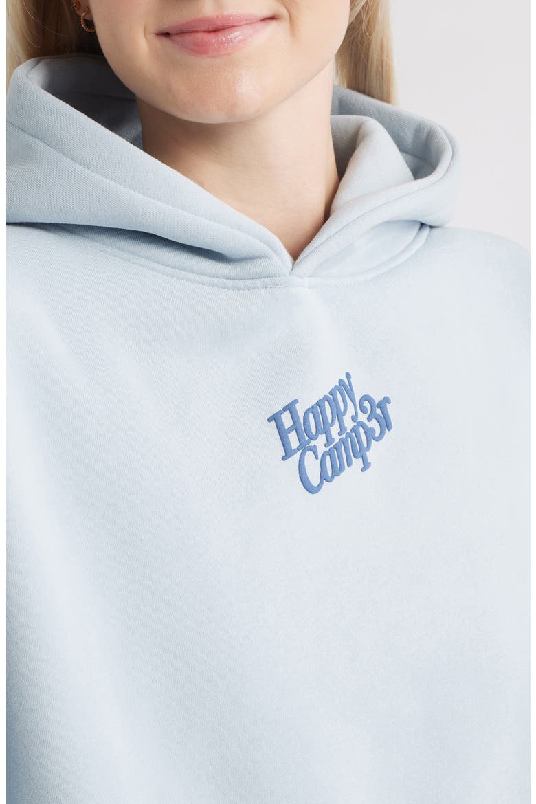 Puff Series Core Logo Cotton Blend Hoodie, Alternate, color, SNOWFLAKE BLUE
