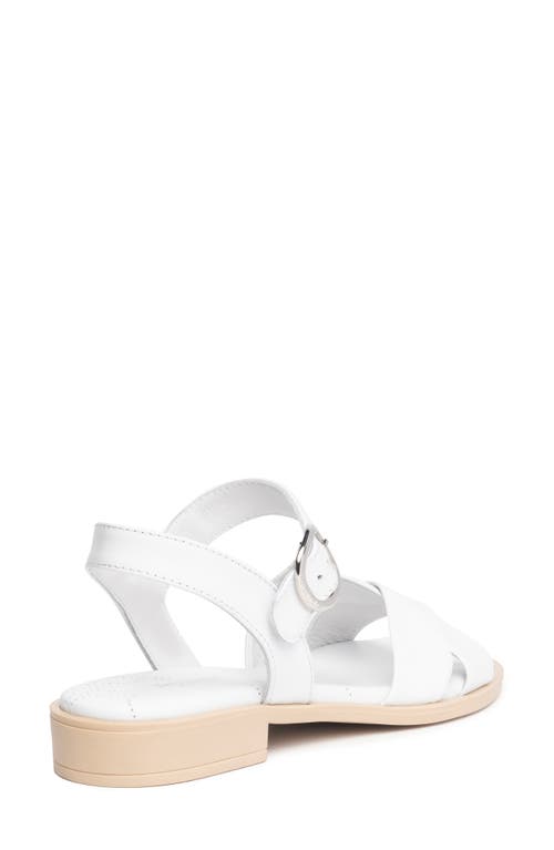 Nerogiardini Ankle Strap Sandal In White