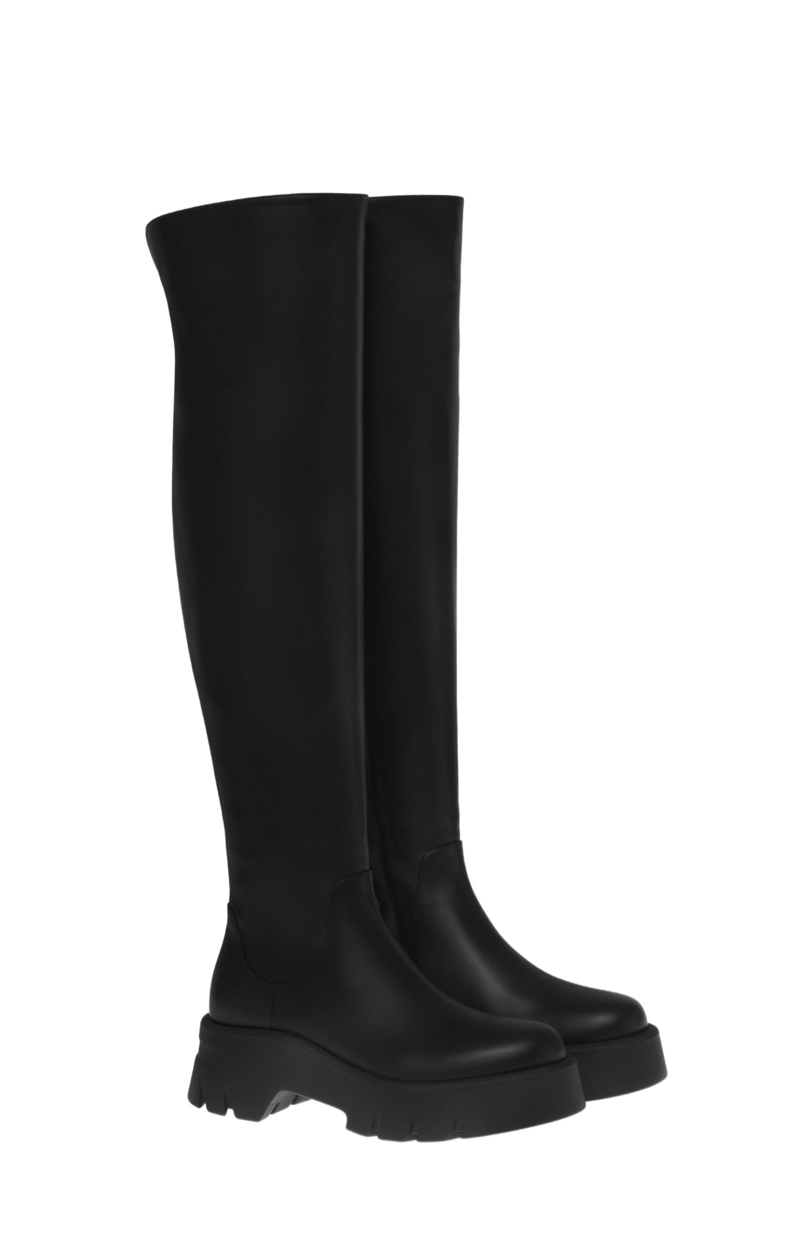 Gianvito Rossi Montey Cuissard Boots, Alternate, color, 