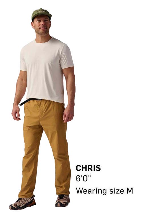 Backcountry Wasatch Ripstop Pant In Brown