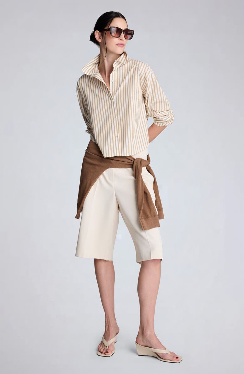 Kenneth Cole Stripe Button-Up Crop Top, Alternate, color, Pure White/ Burlap