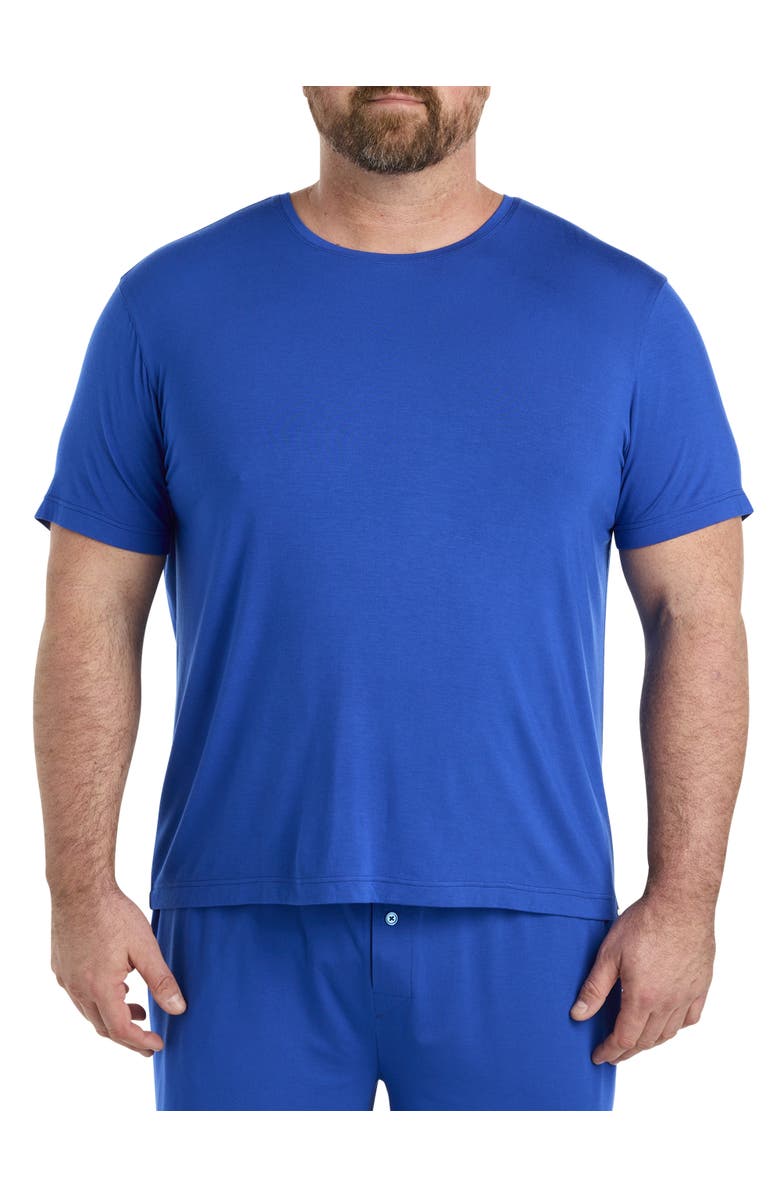 Robert Graham DXL Big & Tall Lounge T-Shirt, Main, color, Surf The Web
