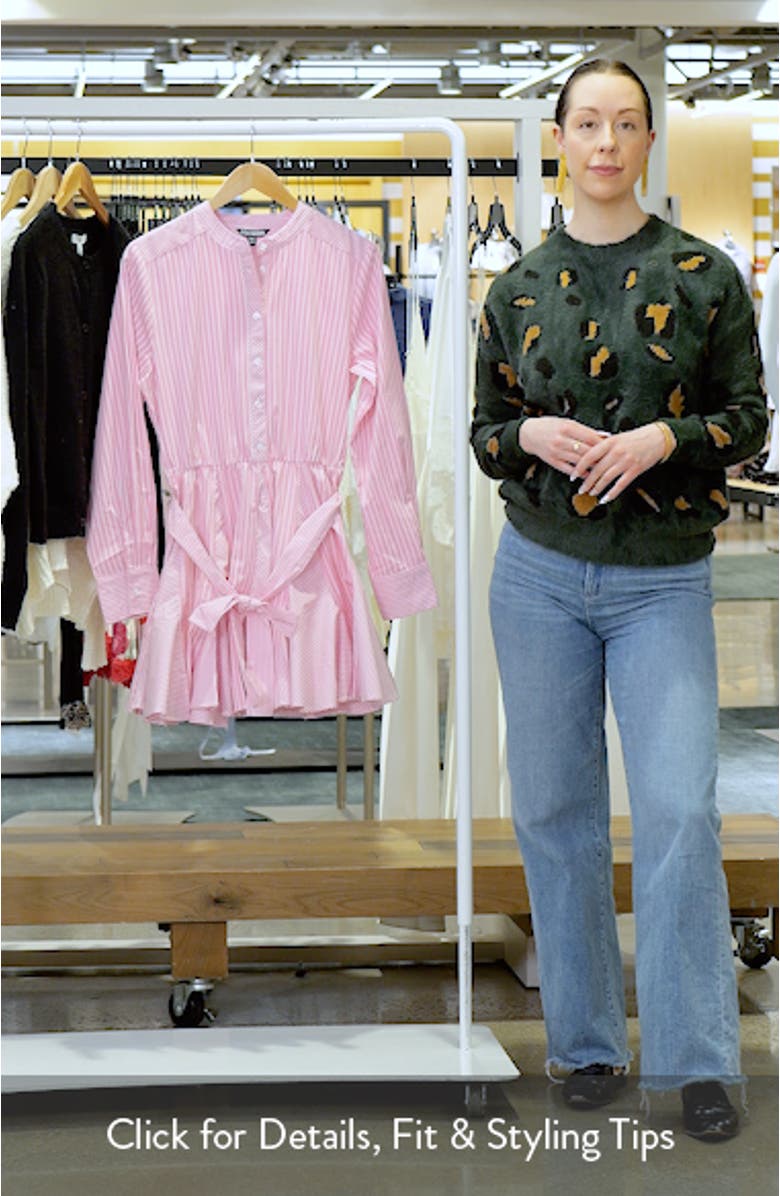 Lorelei Stripe Tie Waist Long Sleeve Minidress, sales video thumbnail