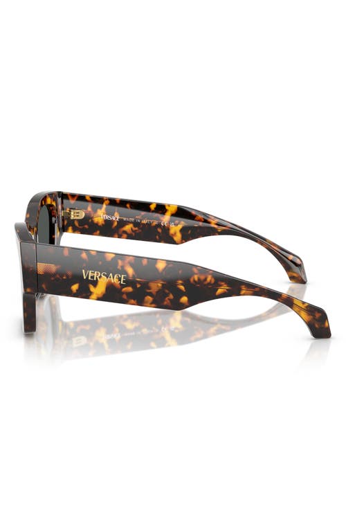Versace 53mm Square Sunglasses In Brown
