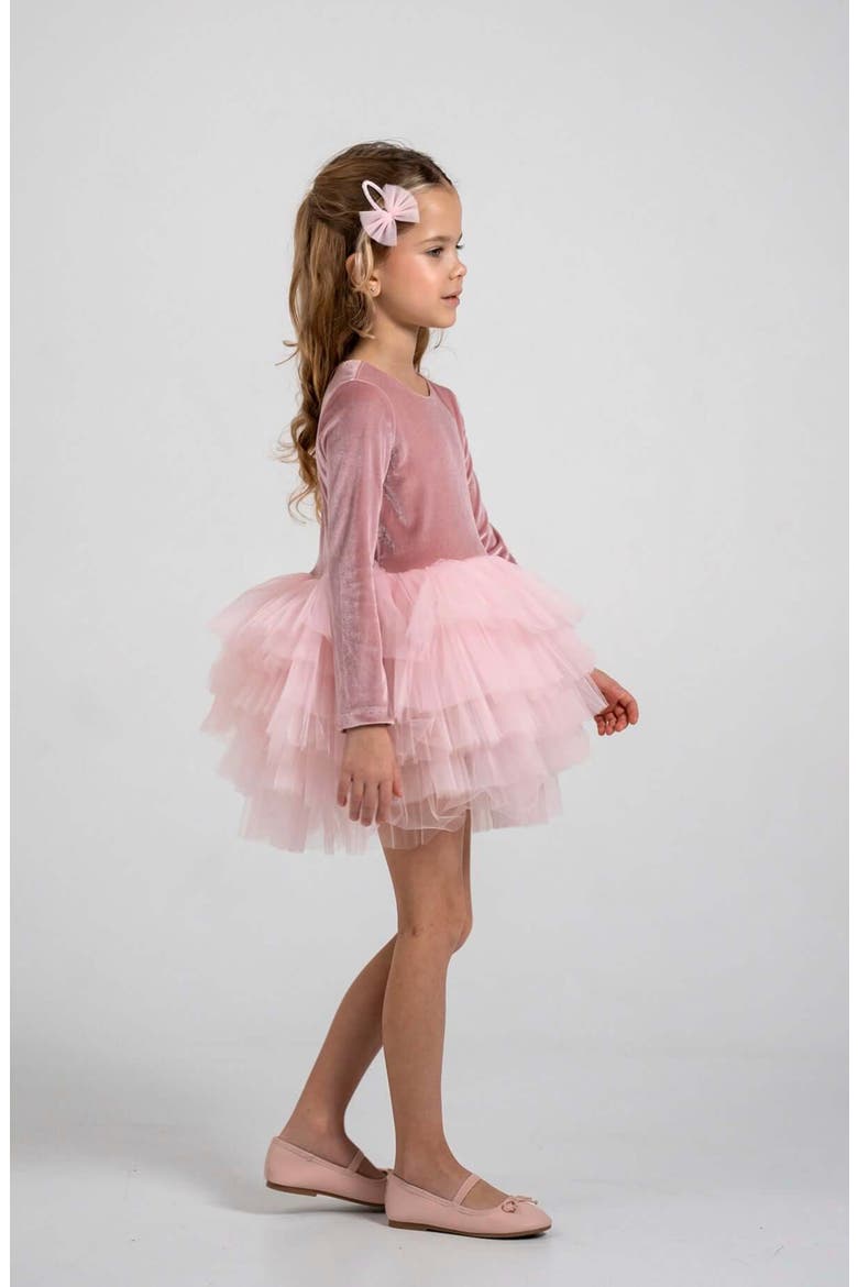 Velora Long Sleeve Velvet Tutu Dress, Alternate, color, Pink Rose