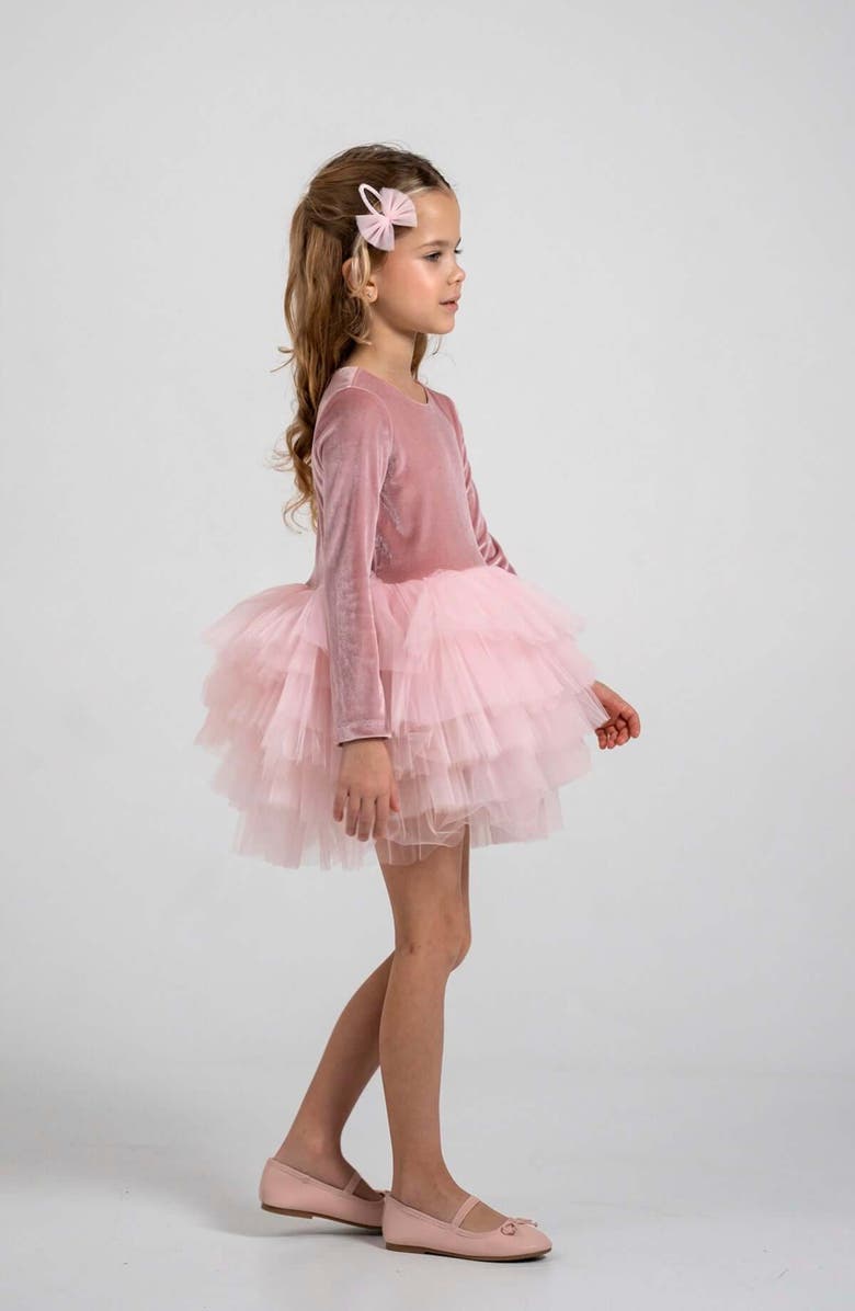 Mini Celebrities Velora Long Sleeve Velvet Tutu Dress, Alternate, color, Pink Rose
