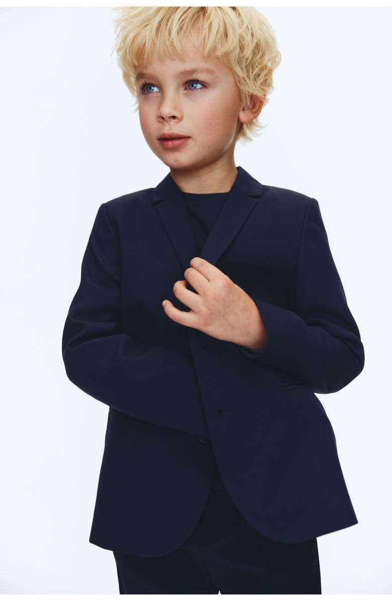 H&M Jacket, Alternate, color, 