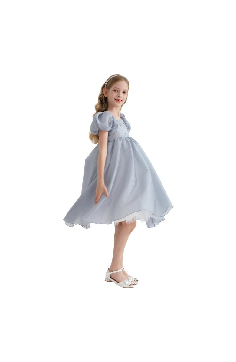 Tulleen Janelle Dress, Alternate, color, Grey