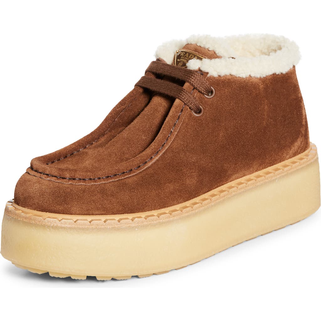 Prada Genuine Shearling Derby Bootie