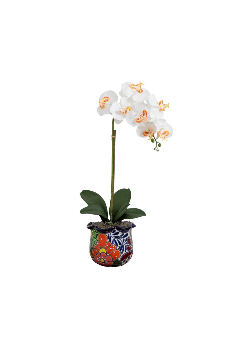 26-in Artificial Orchid Arrangement in Handmade Mexican Talavera Ceramic Planter, Main, color, Green