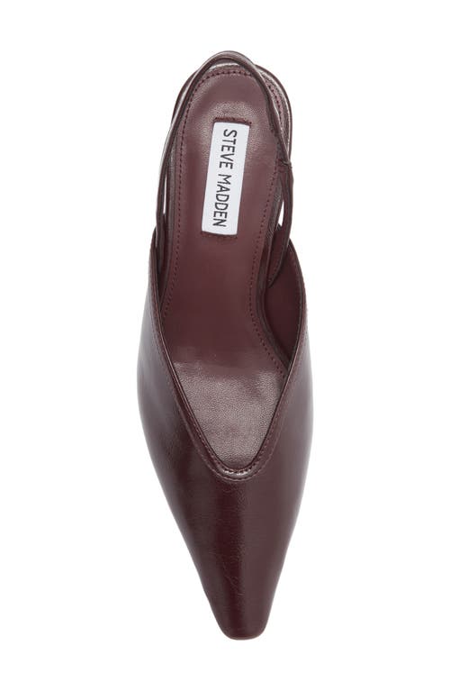 Steve Madden Haleigh Slingback Pump In Burgundy