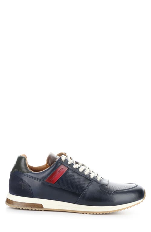Ambitious 11240 Perforated Sneaker In Multi