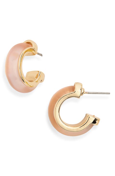 Frosted Resin Huggie Hoop Earrings