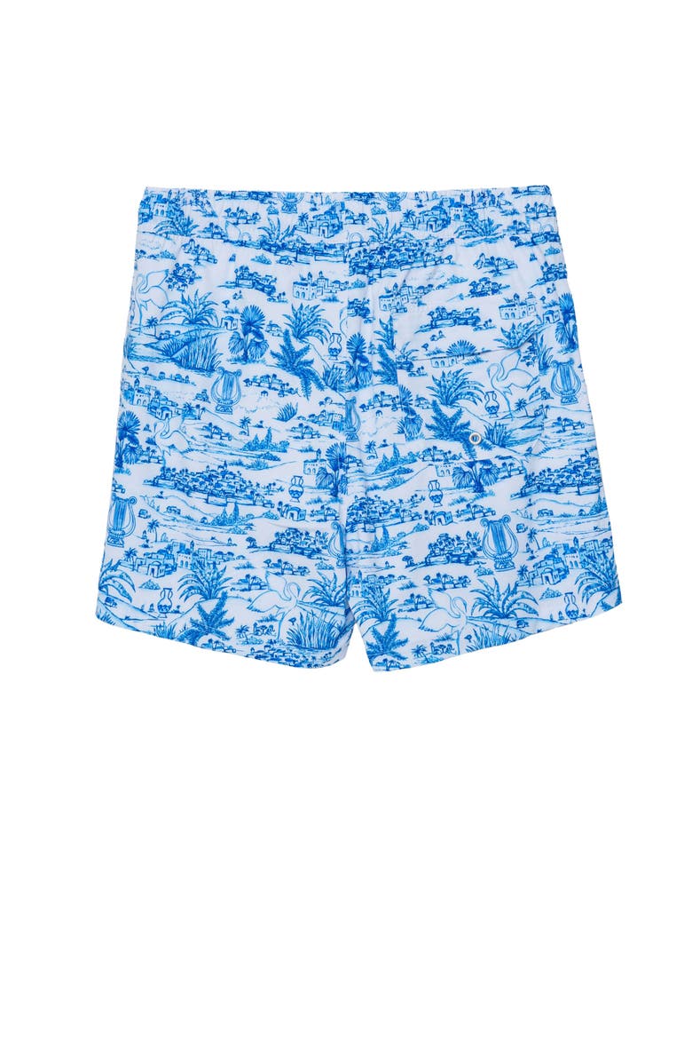 Summer Toile 5" Swim Trunks Swimsuit, Alternate, color, Blue-White