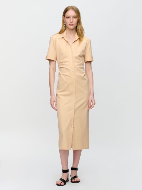Callas Milano Lou Fitted Shirt Dress In Orange