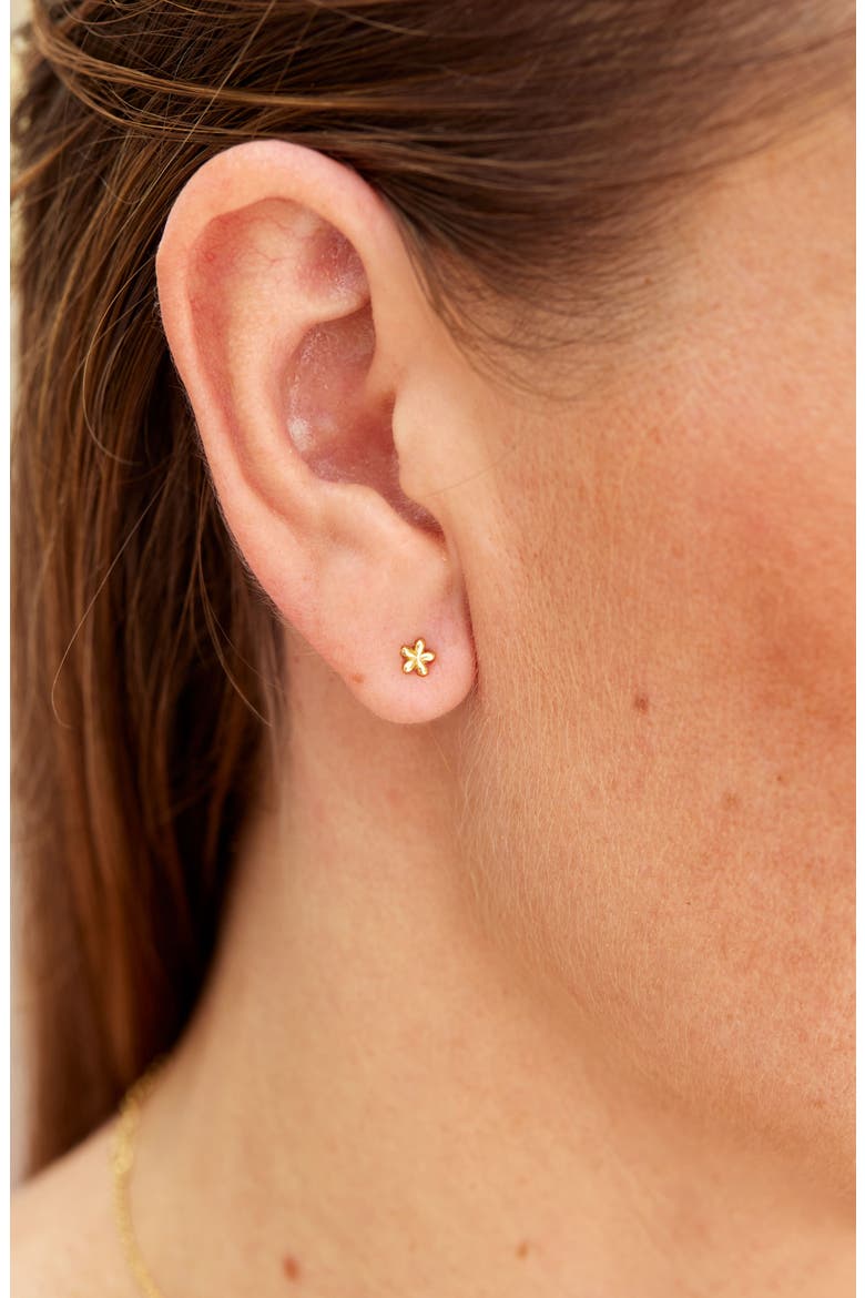 18K Gold Plate Sterling Silver Mini Flower Stud Earrings, Alternate, color, YELLOW
