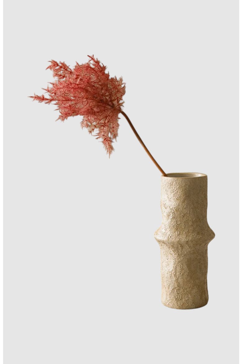 Red Cotinus Coggygria Young Lady Flower, Main, color, Red