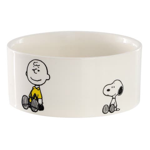 Snack Time 6in Stoneware Pet Bowl