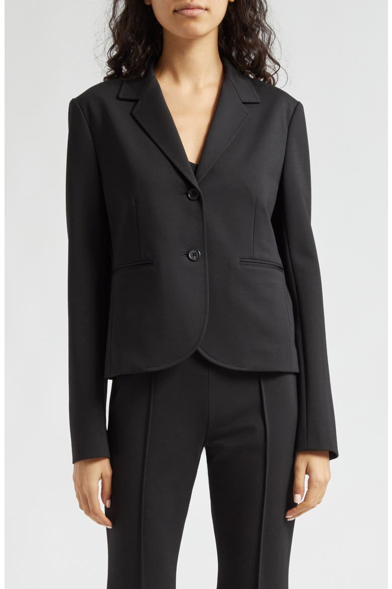 Ponte Knit Blazer, Main, color, BLACK
