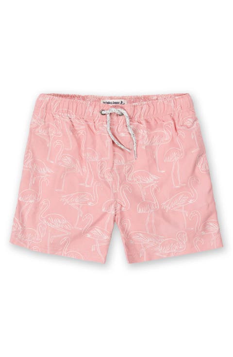 Kids' Embroidered Swim Shorts (Little Kid & Big Kid)