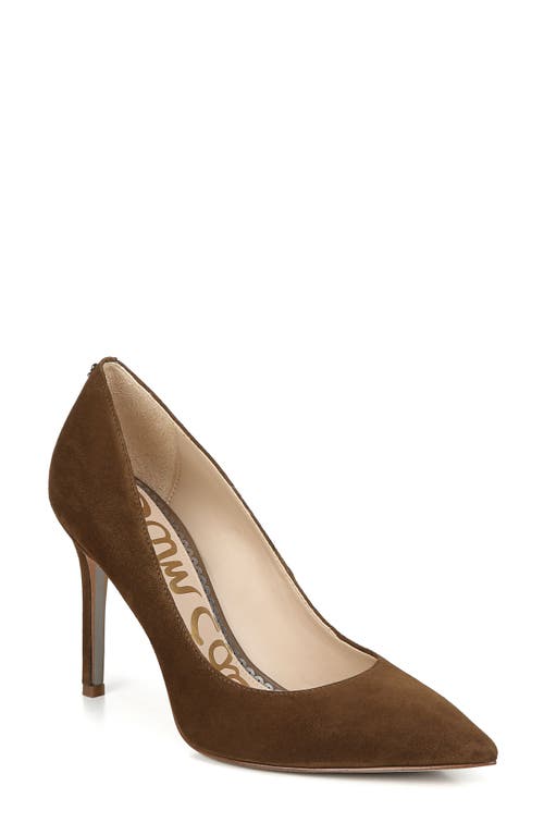 Sam Edelman Hazel Pointed Toe Pump In Brown