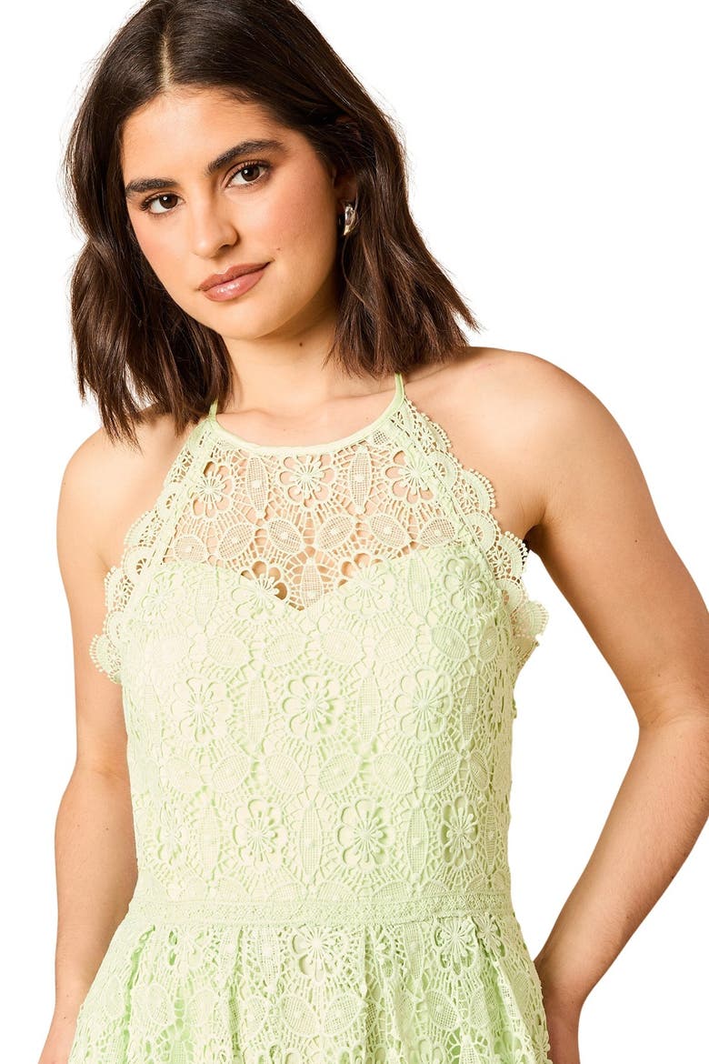Lace Detail Halterneck Midi Dress, Alternate, color, Sage