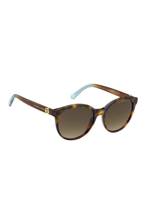 Marc Jacobs 54mm Round Sunglasses In Havana Azure