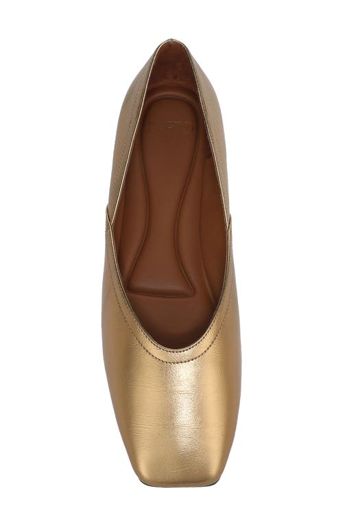 Sarto By Franco Sarto Adalina Ballet Flat In Brown