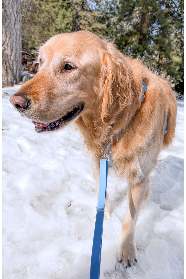 Cloud Lite Waterproof Dog Harness, Alternate, color, MALIBU BLUE
