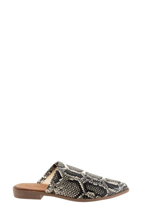 Bueno Bambi Pointed Toe Mule In Black