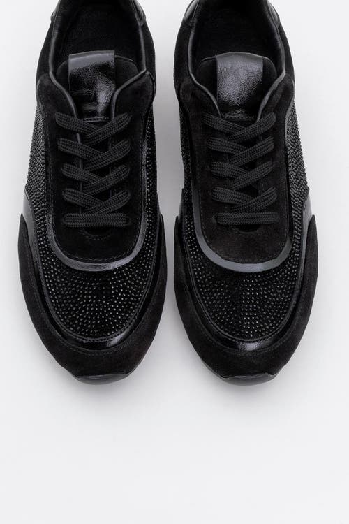 Forever & Always Shoes Bonia Rhinestone Suede Leather Sneakers In Black Suede Leather