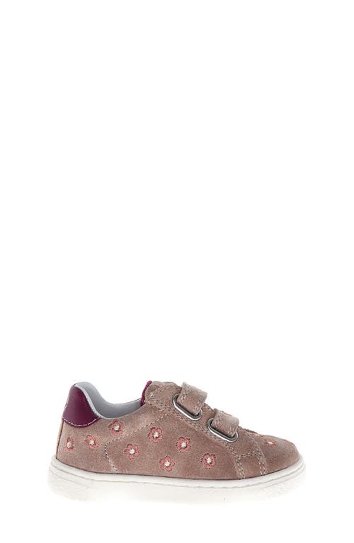 Naturino Kids' Phardy Embroidered Sneaker In Multi