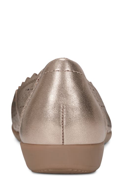 Earth Women's Bria Casual Flat In Brown