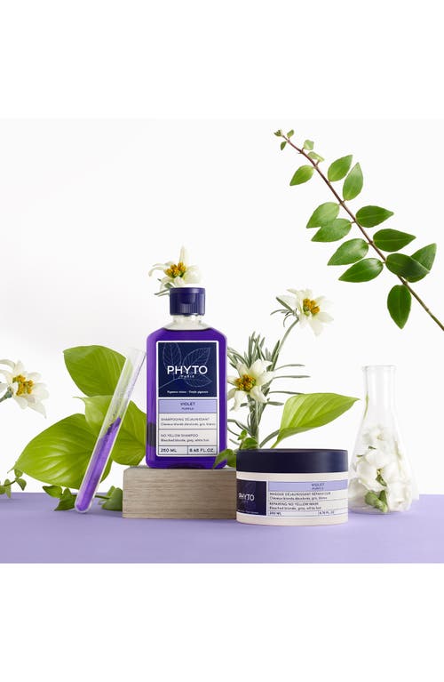 Phyto Purple No Yellow Shampoo In Transparent
